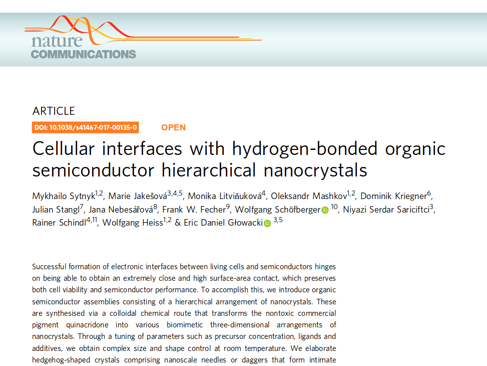 Towards entry "Mishas hierarchical nanocrystals from colored pigments made it to Nature Communications"