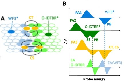 Towards entry "Nicola´s work on unravelling the impact of energy aligned interfacial states lines out how to further improve organic solar cells"