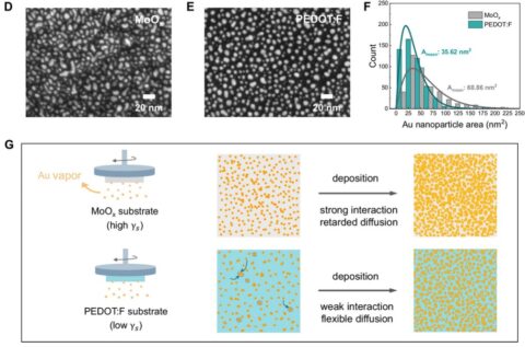 Towards entry "Overcoming optical losses in thin metal-based recombination layers for efficient n-i-p perovskite-organic tandem solar cells"